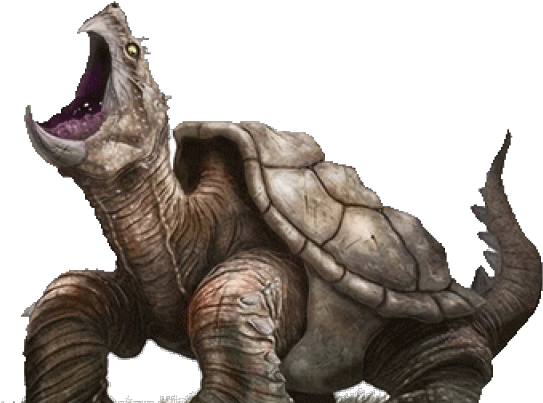 Turtle Free Clipart HD PNG Image