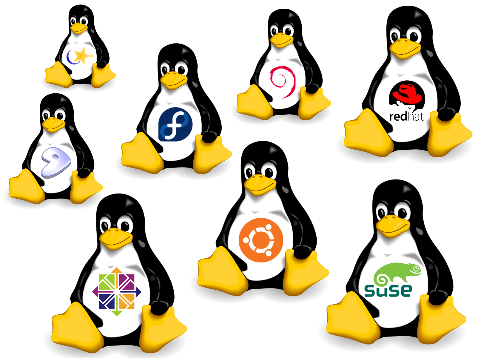 Suse Linux Operating Systems Ubuntu Distributions PNG Image