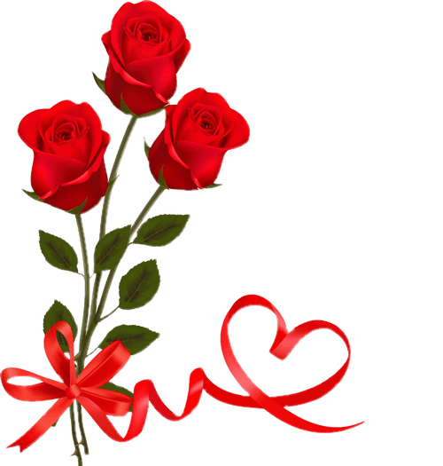 Rose Valentines Love Day Download HQ PNG Image