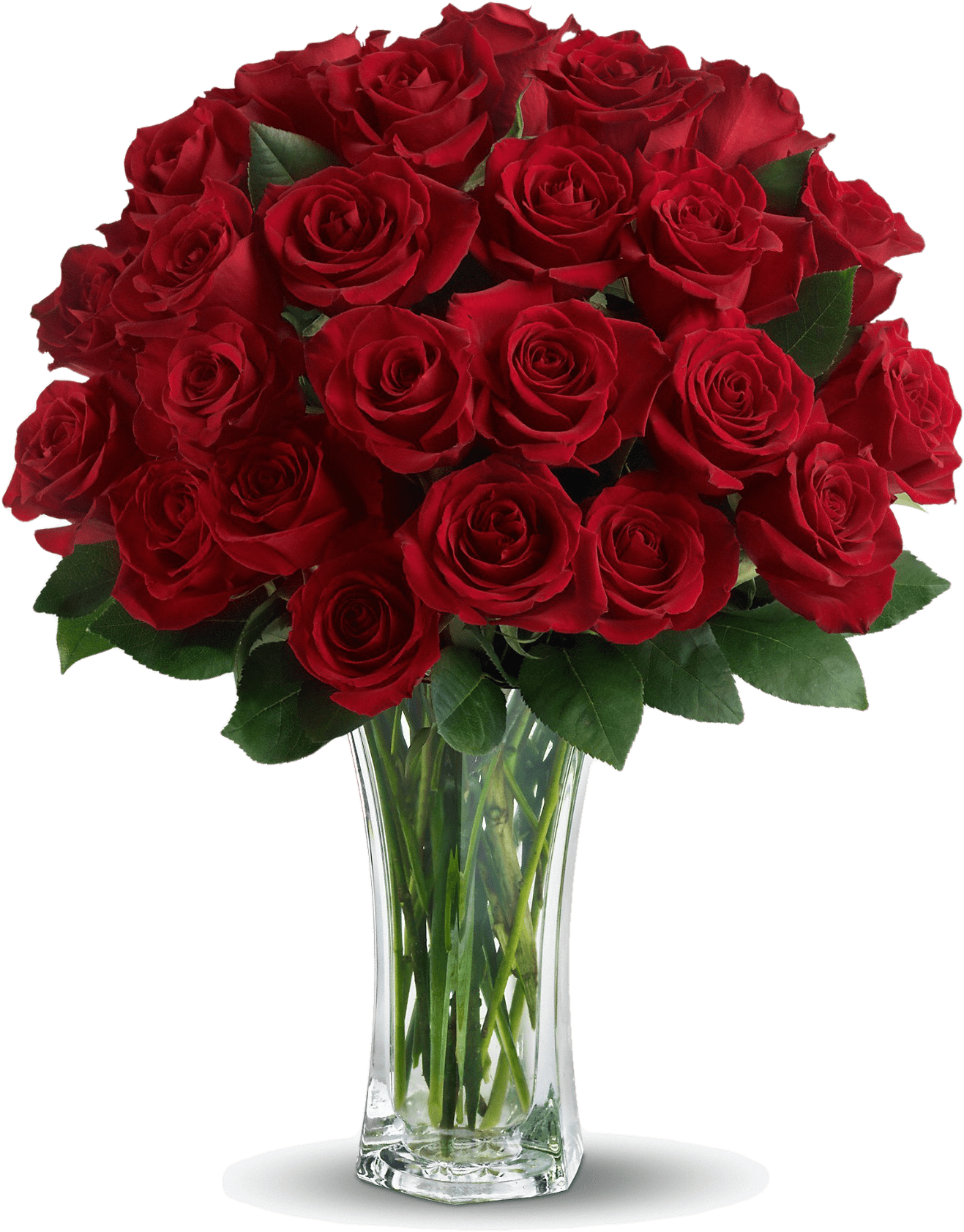 Rose Valentines Day PNG Free Photo PNG Image