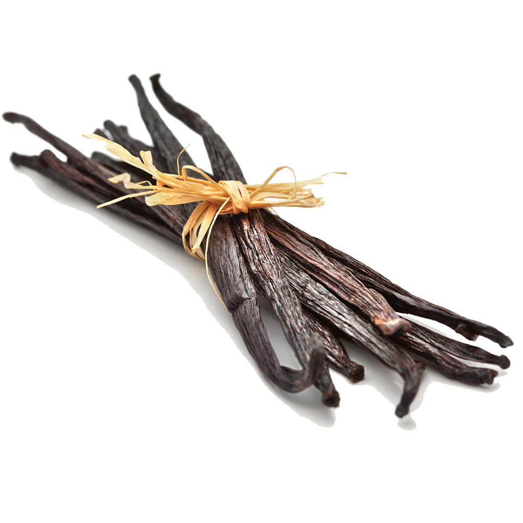Vanilla Bean Photos PNG Image