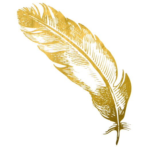 Feather Vector PNG Download Free PNG Image