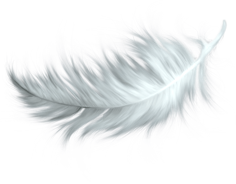 Feather Vector Pic Free Clipart HD PNG Image