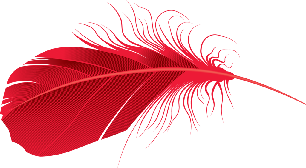 Feather Vector PNG Image High Quality PNG Image