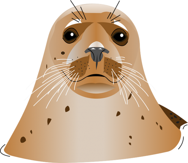 Harbor Vector Seal Free Clipart HD PNG Image