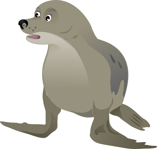Harbor Vector Seal PNG Image High Quality PNG Image
