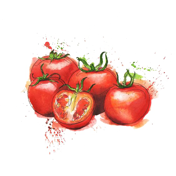 Tomato Cuisine Purxe9E Juice Bush Italian PNG Image