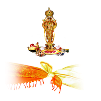 Download Venkateswara Free Png Photo Images And Clipart Freepngimg