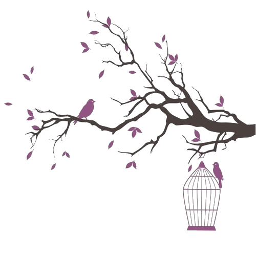 Pink Birdcage Plant Cage Bird PNG Image High Quality PNG Image
