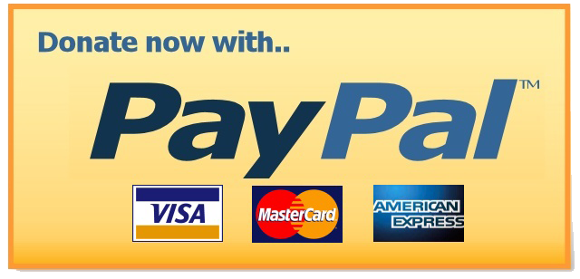 Paypal Donate Button PNG Download Free PNG Image
