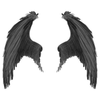 Download Wings Free PNG photo images and clipart | FreePNGImg