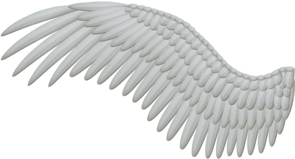 Wings Hd PNG Image