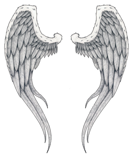 Wings Tattoos Png Image PNG Image