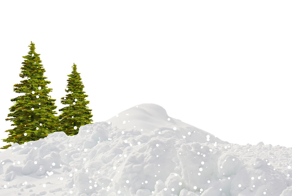 Tree Winter PNG File HD PNG Image