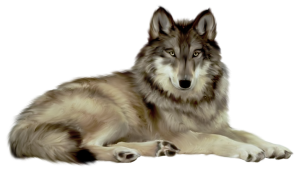 White Wolf PNG Image