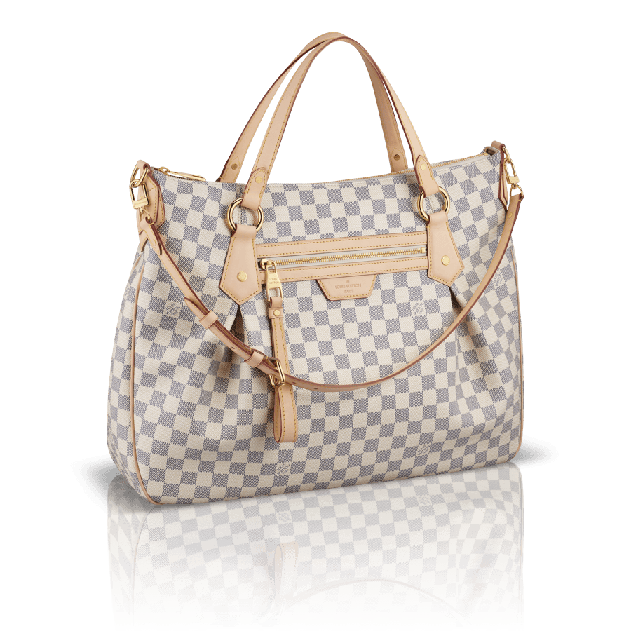 Women Bag Png Image PNG Image