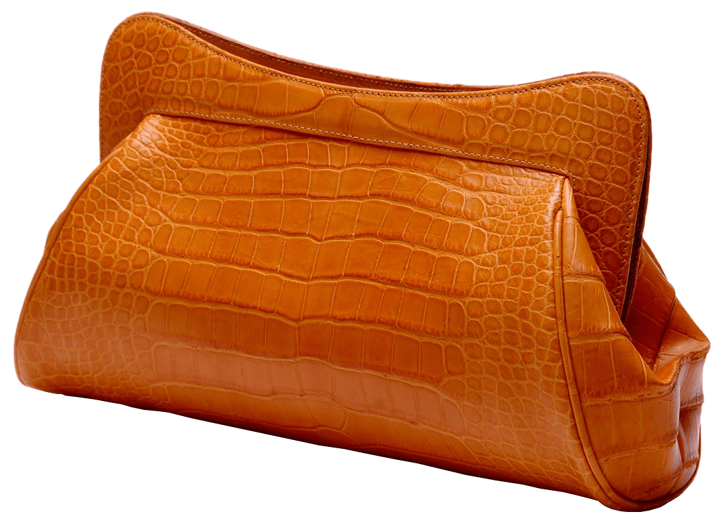 Leather Women Bag Png Image PNG Image