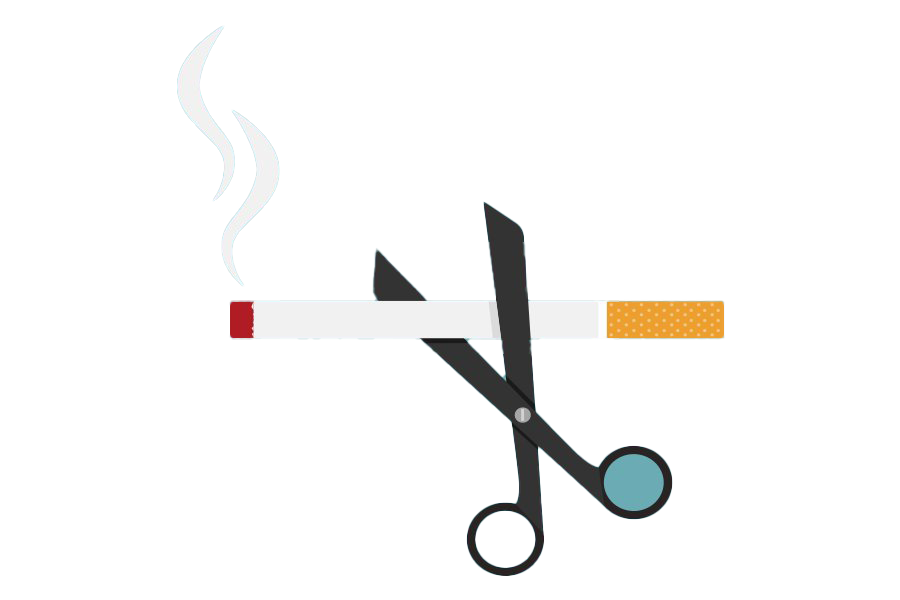 World Day Tobacco No PNG Image High Quality PNG Image