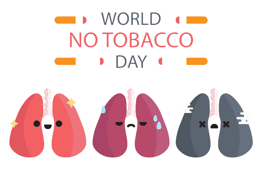World Day Tobacco No HD Image Free PNG Image