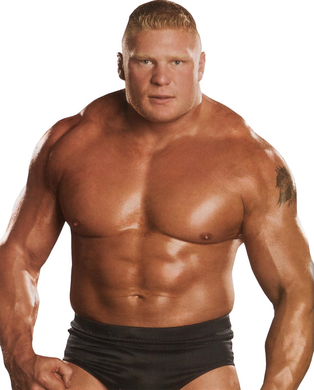 Brock Lesnar Clipart PNG Image