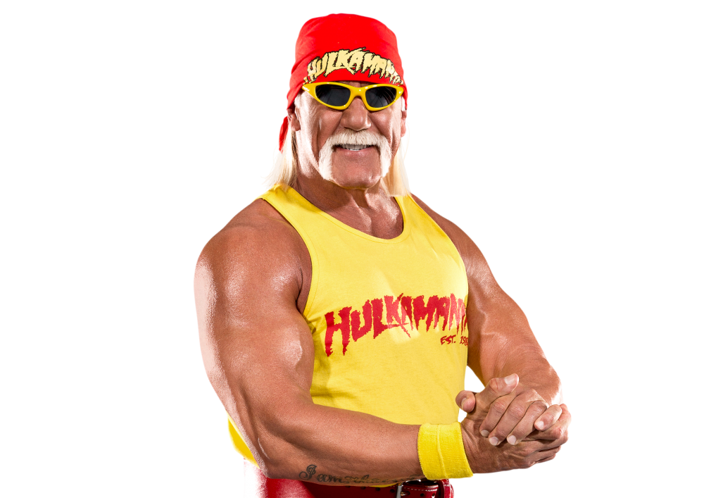 Hulk Hogan Image PNG Image